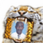 Profile Picture of Cristian Valencia (@leon casador) on Flickr