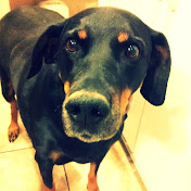 Profile Picture of Kayla Wainwright (@sarahsueful) on Youtube