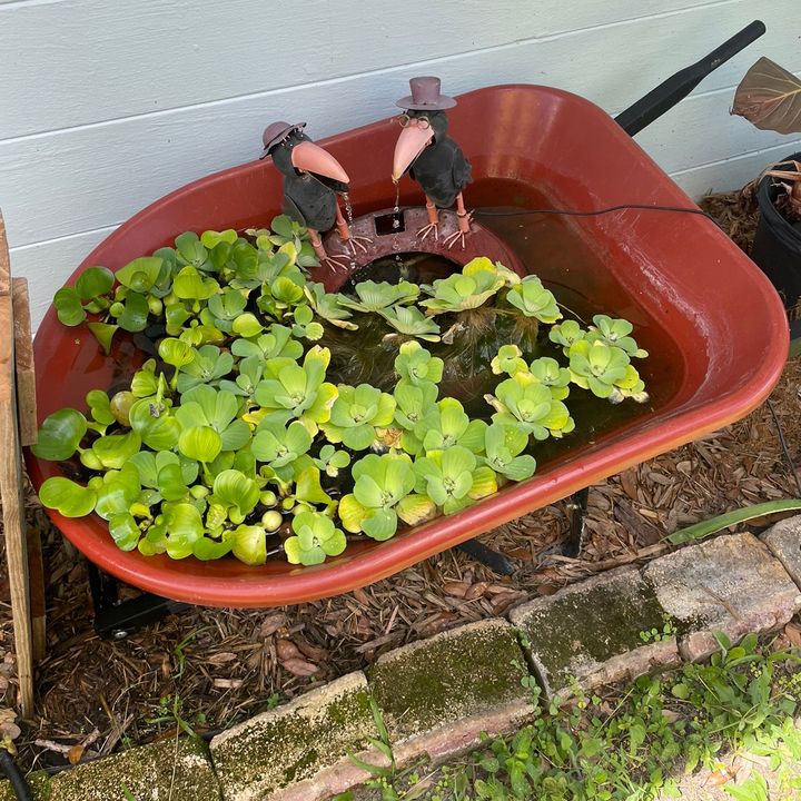 Profile Picture of christopherjourne4 (@christopherjourne4) on Tiktok