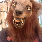 Profile Picture of Matt Warren (@matt.warren.1840070) on Facebook