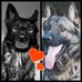Profile Picture of Andrea Wambach (@andrea.wambach.9) on Facebook