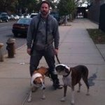 Profile Picture of Marcelo Frydman (@marcelodent) on Instagram