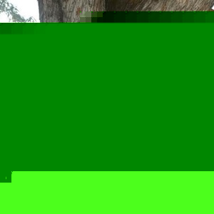 Cindi Jo Blodgett - Myspace Profile Picture of Cindi Jo Blodgett (@257714348) on Myspace