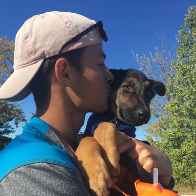 Profile Picture of Josh Palmer (@joshpalmer28) on Twitter