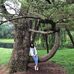 Profile Picture of Siming Li (@siming.li.18) on Facebook