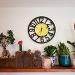 Profile Picture of Cora McManus (@corascacticollection) on Instagram