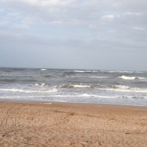 Profile Picture of Ash Biswurm (@ashbiswurm) on Poshmark