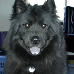 Ralph Ames - Facebook Profile Picture of Ralph Ames (@Ralph-Ames) on Facebook