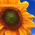 Profile Picture of Jim Heukels (@jim.heukels.56) on Facebook