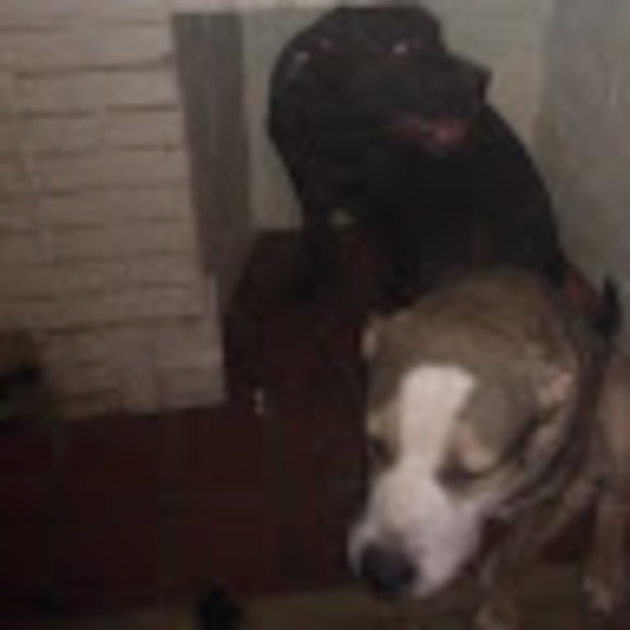 Donald Thompson - Poshmark Profile Picture of Donald Thompson (@kieyotee) on Poshmark