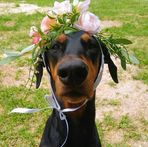 Profile Picture of Chris Heron (@chris.heron.98) on Facebook