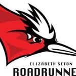 Profile Picture of Elizabeth Ann Seton (@elizabethsetonclass2020) on Instagram