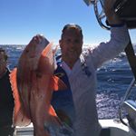 Profile Picture of Peter Rimmer (@rimmer1002) on Instagram