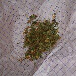 Profile Picture of Duffy (@felix_desuza) on Instagram