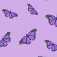 Profile Picture of Hannah Angle (@hannah-angle-7) on Quora