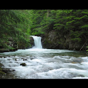 Profile Picture of Eddie James (@eddiejames5614) on Youtube