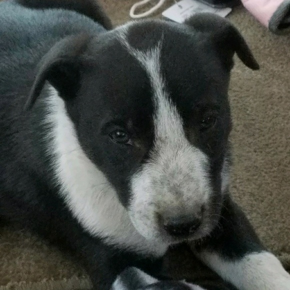 Profile Picture of Geri Rackow (@grackow) on Poshmark