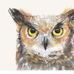 Jade Wagner - Instagram Profile Picture of Jade Wagner (@wagner.l.jade) on Instagram