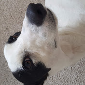 Profile Picture of Nigel Craig (@nigelcraig7151) on Youtube