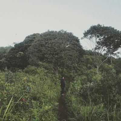 Profile Picture of Michael Paris B (@michaelpariss) on Twitter