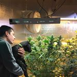 Profile Picture of Adam Brownlee (@browndog92) on Instagram