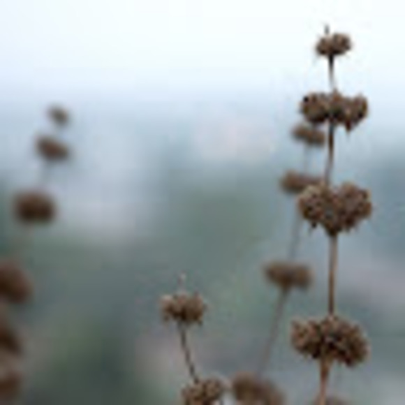 Profile Picture of Joanne Cox (@joannecox864) on Poshmark