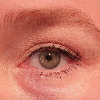 Profile Picture of Sarkasta Zynis (@WieMeinenSieDas) on Twitter