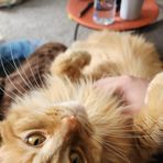 Profile Picture of Chris Willingham (@Chris-Willingham) on Facebook