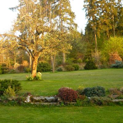 Profile Picture of Richard Mrázek (@mrazekrichard) on Twitter