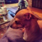 Profile Picture of Matthew Vacha (@matthewvacha) on Instagram