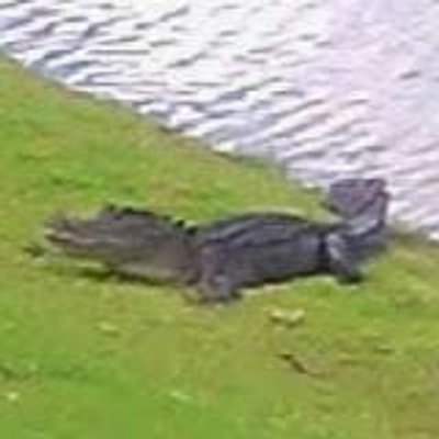 Profile Picture of Nick Friedl (@nfrie845) on Twitter