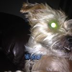 Profile Picture of Bailey Spaulding (@mr._bailey123) on Instagram