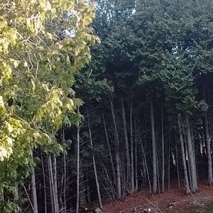 Profile Picture of Brenda Kupferschmidt (@BrendaKupfersc1) on Twitter