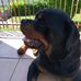 Profile Picture of Bruno Simonetti (@bruno.simonetti.94) on Facebook