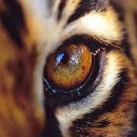 Profile Picture of David Thorley (@davidthor64) on Twitter