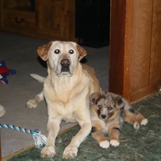Profile Picture of Kenneth Mcnabb (@kenneth.mcnabb.9) on Facebook