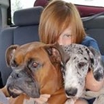 Profile Picture of Debbie Ritter (@uglymathteacher) on Instagram