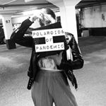 Profile Picture of Pam Carriere (@polaroidsofpandemic) on Instagram