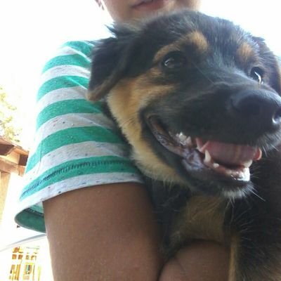 Profile Picture of Nicopedia (@nicolas_lenz) on Twitter