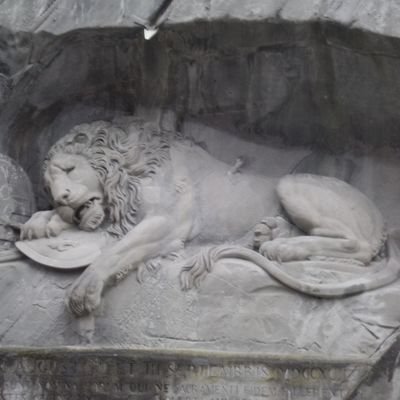 Profile Picture of Lam Woon Hol (@lam_hol) on Twitter