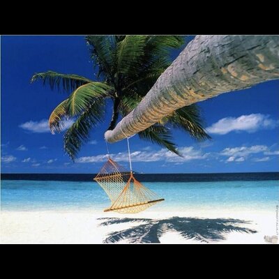 Profile Picture of Jon McGrew (@jmcgrew93) on Twitter