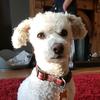 Profile Picture of Joanne Coyle (@@joannecoyle) on Tiktok