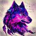 Profile Picture of Galaxy wolf (@gabrielleharrelson13) on Pinterest