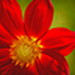 Chris Hewitt - Flickr Profile Picture of Chris Hewitt (@christopherleehewitt) on Flickr