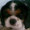 Profile Picture of chris.dyas@btopenworld.com (@chris.dyas@btopenworld.com) on Flickr