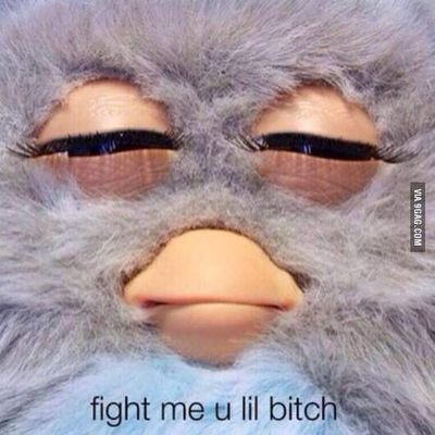 Profile Picture of Steven Manning (@IDontBestEveIt) on Twitter