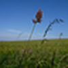 Profile Picture of Ruthcor (@Ruthcor) on Flickr