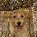 Profile Picture of Tomás Martínez (@tomas.m.fotografia) on Instagram