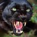 Profile Picture of Randall Coakley (@randall.coakley.71) on Facebook