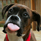 Profile Picture of Beth Hansen (@bethhansen4979) on Youtube